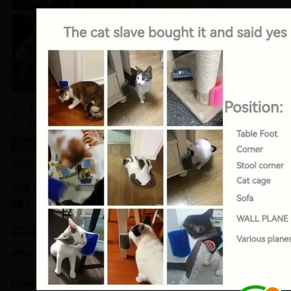 Black Self Grooming Brush For Cats - Picture 7 of 7